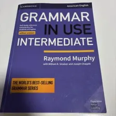 GRAMMAR IN USE INTERMEDIATE