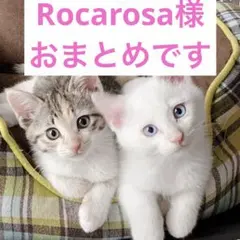 Rocarosa様 リクエスト 10点 まとめ商品