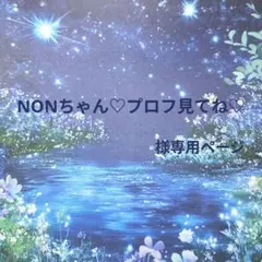 NONちゃん♡プロフ見てね♡様専用ページ2点セット