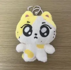 enhypen エンチン ジョンウォン ウォンチュ - メルカリ