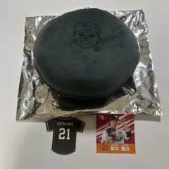 Item thumbnail for item 68a8ebd7-7ecd-45da-aaa7-8280338d8d66