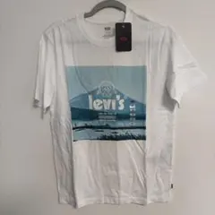 Item thumbnail for item 2e347980-494a-4fb6-9e61-2eb3fcfbec2c