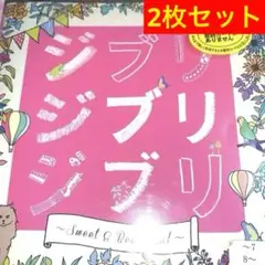 ジブリカバー　2枚セット✨❤️