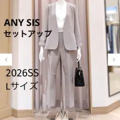 ANY SIS セットアップ Lサイズ