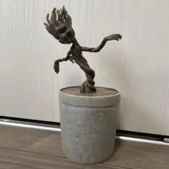 ベビーグルート 植木鉢 ブラック - メルカリ
