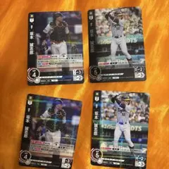 ドリームオーダー 阪神タイガース坂本誠志郎