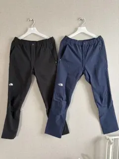 【美品/2本セット】THE NORTH FACE アルパインライトパンツ L