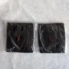 腰痛ベルト 骨盤矯正 Lサイズ ２個　腰痛 サポート サポーター コルセット