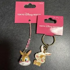 東京ディズニーリゾート ミスバニー キーチェーン＆ストラップ　セット