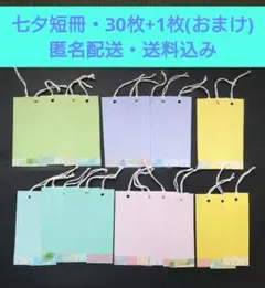 七夕短冊・30枚セット(1枚オマケで31枚)・七夕飾り・匿名配送・送料込みのサムネイル