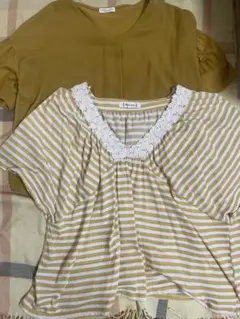 Vネックブラウス ストライプ柄カットソー 2点セット