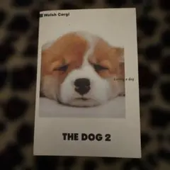 Item thumbnail for item b86e85e1-1074-47a5-81e8-54d6e0a36373