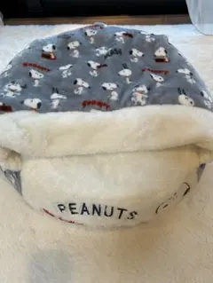 Item thumbnail for item e03cd328-0ea5-46f9-a307-7cbfc18a6815