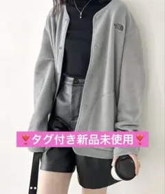 【新品未使用】国内未発売THE NORTH FACEフリースノーカラージャケット