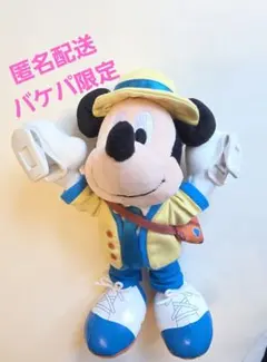 ディズニー　バケーションパッケージ限定　ミッキー　ひっつきぬいぐるみのサムネイル