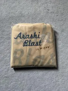 Item thumbnail for item 302e0315-3768-4aaa-a4ef-6dd263a99922