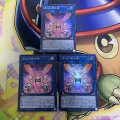 もけもけ様 リクエスト 2点 まとめ商品