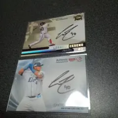 Item thumbnail for item 6e1d7f1c-d54f-48a2-b4ca-c4300dfdfe27