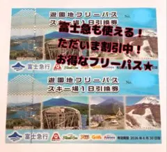 2026年最新】富士急ハイランド フリーパス ペアの人気アイテム - メルカリ