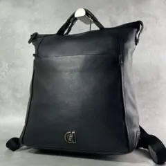 【美品】COLE HAAN レザー バックパック 3way シボ
