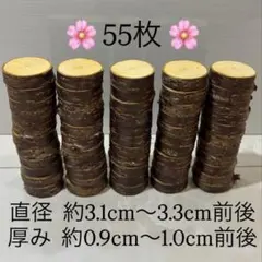 桜　切り株　輪切り　丸太　55枚
