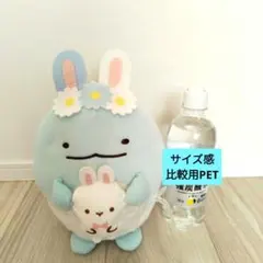 すみっコぐらし ふしぎなうさぎのおにわ ころっとぬいぐるみ とかげ プライズ品