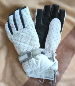 Alpine Design レディース スキーグローブ L 22cm