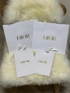【美品】Dior ショップ袋セット 大・中