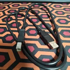 USB A - USB B ケーブル 黒