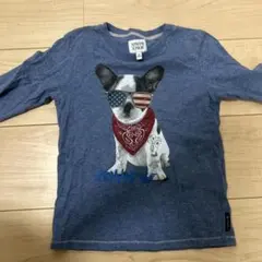 Armani juniorのサムネイル