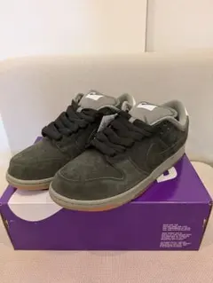 NIKE SB DUNK LOW PRO B HJ0367-301