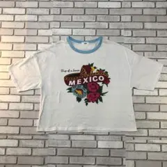 【RODEO CROWNS】Tシャツ白×ビッグプリントRCWB半袖フリーサイズ