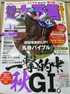 競馬大予言 ２０２５年秋号 エリザベス他