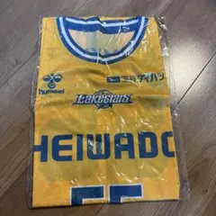 滋賀レイクス hummel Lakesstars ユニフォーム 55