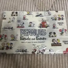 PEANUTS ミドルサイズスクエアトート