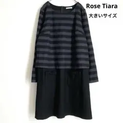 2026年最新】ローズティアラ46の人気アイテム - メルカリ