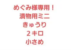 めぐみ様専用！漬物用ミニきゅうり　２キロ