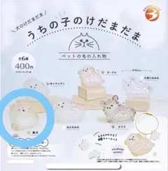 うちの子のけだまだま 柴犬 ガチャ