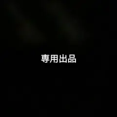専用出品
