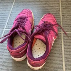 アシックス テニス シューズ 24 cm TLL761 オムニ/クレー