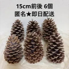 송보쿠리 거대 15cm급 6개 크리스마스 핸드메이드 소재 점화제 큰
