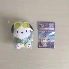 ポチャッコ　ナイトプール　1番くじ　セット