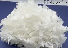 etoile様 リクエスト 3点 まとめ商品