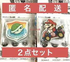 マリオカートワールド　キャラマグネッツ　スーパーマリオ　２点セット