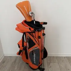 Item thumbnail for item 33955f58-2968-4a74-84de-9c4d82a2b945