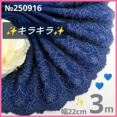 №250916 チュールレース