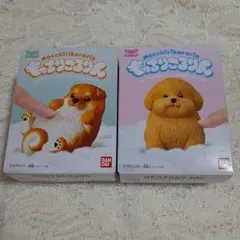もっちりころりん おいぬ ①ころころ豆柴(茶) ⑥もっふりプードル(薄茶) 新品