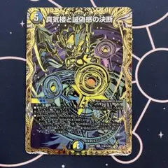 2026年最新】パーフェクトペテンシーの人気アイテム - メルカリ
