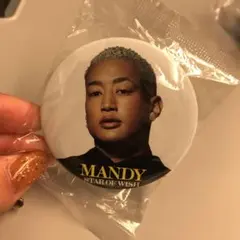 STAR OF WISH メンディー フォト缶バッチ