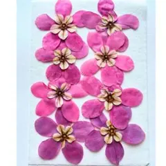 Item thumbnail for item c1052e30-9970-4154-8319-98d5b234997b